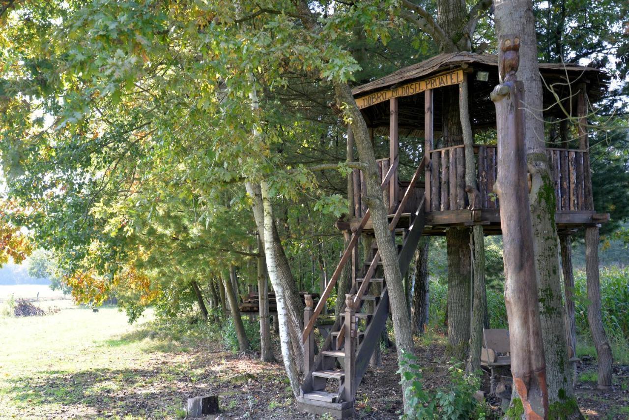 Old Oak House With Pool Villa Marusevec Buitenkant foto