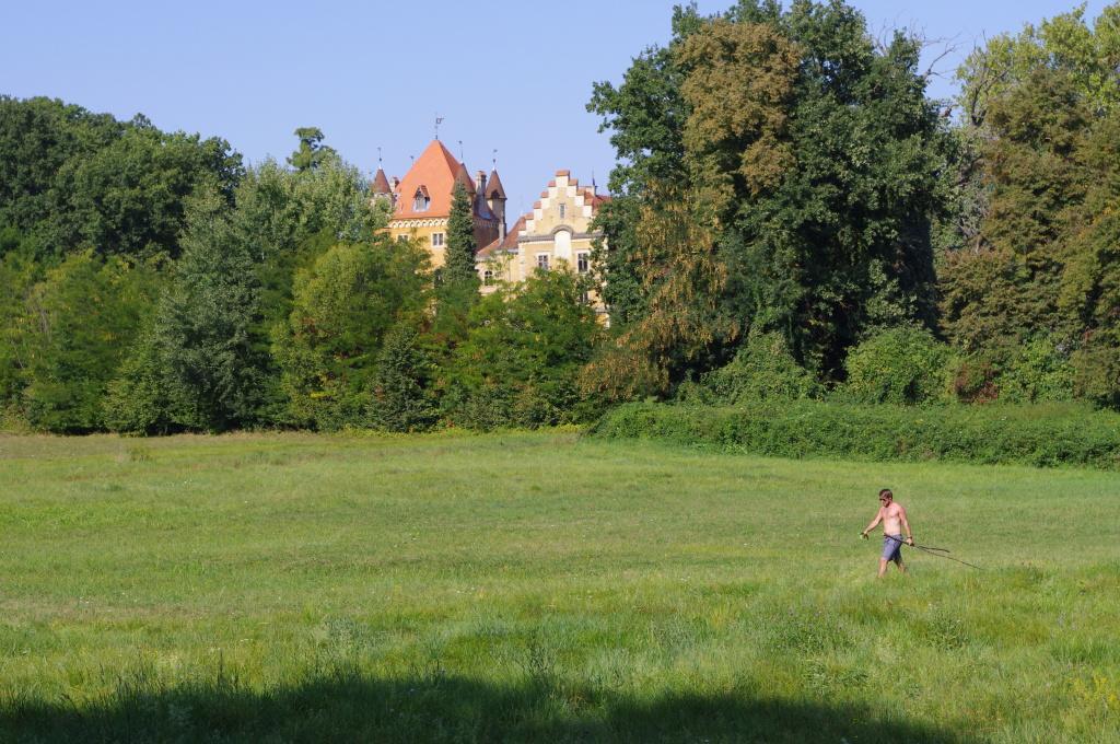 Old Oak House With Pool Villa Marusevec Buitenkant foto