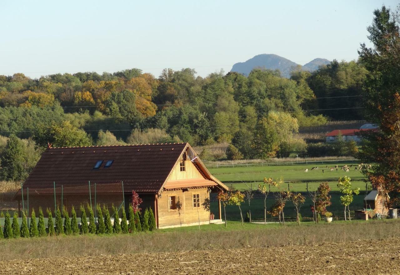 Old Oak House With Pool Villa Marusevec Buitenkant foto