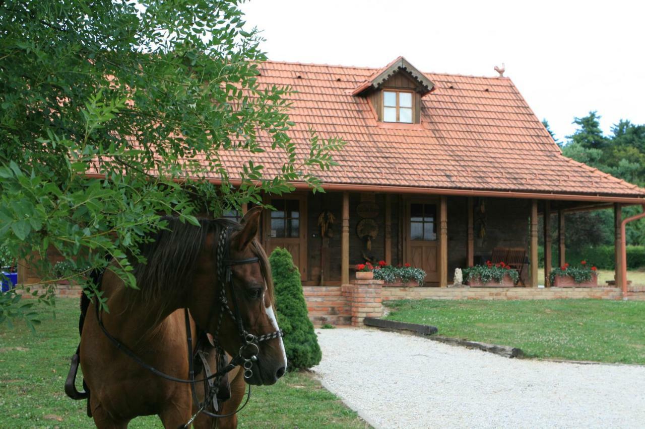 Old Oak House With Pool Villa Marusevec Buitenkant foto